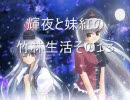シム東方　輝夜と妹紅の竹林生活　その13