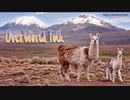 【無料フリーBGM】民族調フィールド曲「OverWorld_Folk」