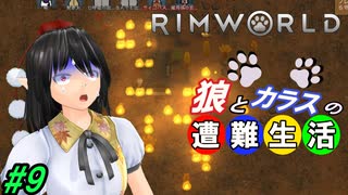 【Rimworld】椛と射命丸の遭難生活 #9 【ゆっくり実況】【リムワールド】