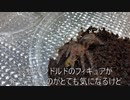[愛しか勝たん]タランチュラ飼育日記その１０３[故の凶行]