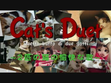 2匹の猫の愉快な歌.Rossini