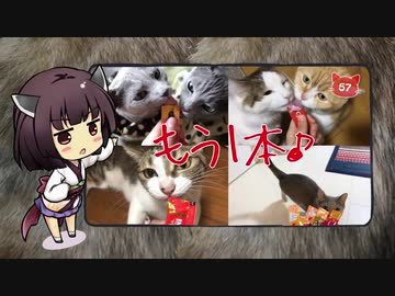 【AIきりたん他】「ちゅ〜るしよ！」