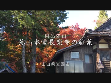 弥山本堂「長楽寺」大もみぢの紅葉。