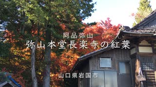 弥山本堂「長楽寺」大もみぢの紅葉。