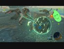 【ゼルダの伝説BOTW】目が覚めたらお米になっていた_Part15(ゆっくり)