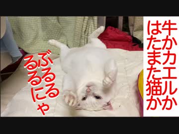 ぶるるるルルルるにゃっ（巻き舌）