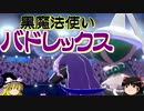 【ポケモン剣盾】ゆっくりロマンギミックパーティpart23【ダブル】