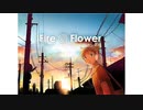 fire◎flower/メロン【歌ってみた】