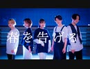 【 Haru 】春を告げる / yama【 踊ってみた 】