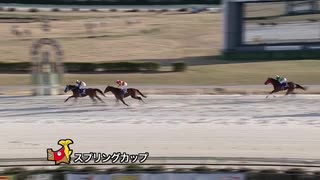 第46回 スプリングカップ ブンブンマル