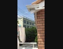 通過する二羽の鳥が発光。