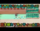 【ポケモン】マサラタウン〜トキワシティ【お花の追加】