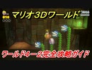 【マリオ３Ｄワールド】攻略　ワールド４－２　グリーンスターとハンコの場所全部紹介！