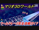 【マリオ３Ｄワールド】攻略　ワールド４－３　グリーンスターとハンコの場所全部紹介！