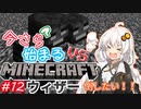 今さら始まる？マインクラフト！#12