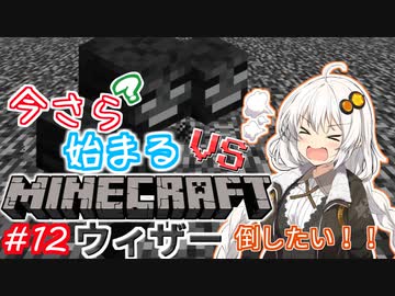今さら始まる？マインクラフト！#12