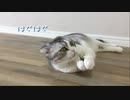 はまちさん笹バッタで遊ぶ