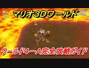 【マリオ３Ｄワールド】攻略　ワールド４－Ａ　とおせんぼ！ゴロボン