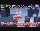 【マリオ３Ｄワールド】５－２攻略ガイド　グリーンスターとハンコの場所全部紹介！