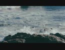東映のアレみたいなやつ