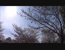 上空で変形する白い光