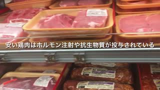 いよいよフェイクミート人工肉が食卓に大豆不足だけど材料はどこから実験室の細胞培養肉