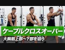 【初心者】ケーブルクロスオーバーのバリエーション | 大胸筋上部・中部・下部を狙うやり方【ビーレジェンド プロテイン】