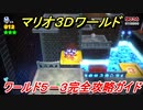 【マリオ３Ｄワールド】５－３攻略ガイド　グリーンスターとハンコの場所全部紹介！