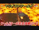 【マリオ３Ｄワールド】５－Ｂ攻略ガイド　かくれファイアブロス その２