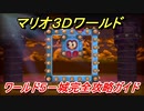 【マリオ３Ｄワールド】５－城攻略ガイド　グリーンスターとハンコの場所全部紹介！