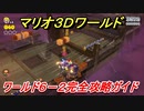 【マリオ３Ｄワールド】６－２攻略ガイド　グリーンスターとハンコの場所全部紹介！