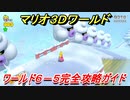 【マリオ３Ｄワールド】６－５攻略ガイド　グリーンスターとハンコの場所全部紹介！