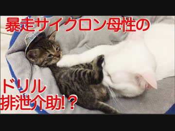 暴走サイクロンドリル排泄介助