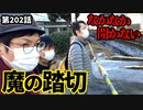 「近所の長い踏切！」の巻（第202話）