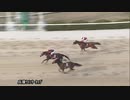 第5回兵庫ウインターカップ ナリタミニスター