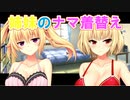 【大きいことはいいことだ】ノラと皇女と野良猫ハート_第27回【PC実況】