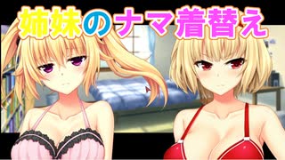 【大きいことはいいことだ】ノラと皇女と野良猫ハート_第27回【PC実況】