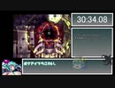 【RTA／下】セイナルモノへ　初期HP＆真ボス撃破【36分55秒33】