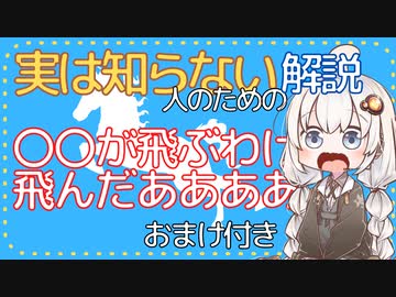 よく見るけど実は知らない人のためのニコニココメント紹介 第5回「飛んだあああああ」おまけつき