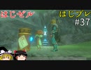 【ゆっくり実況】はじめてのゼルダはじめてのブレワイ part37【ゼルダの伝説ブレスオブザワイルド】