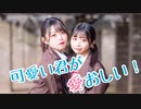 【なひ×くつしたちゃん】可愛い君が愛おしい！【踊ってみた】