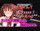 【ゆっくり茶番劇】【ツンデ蓮子の恋模様！？】〈蓮子さんと勉強会〉10話