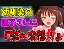 【ゆっくり茶番劇】【ツンデ蓮子の恋模様！？】〈蓮子さんに怒られました〉9話