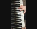 【練習10日目】桜蘭高校ホスト部-桜キッス　