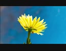 FAVS MOVIE of NATURE