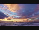 FAVS MOVIE of NATURE