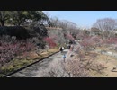 ２０２１,年福岡城梅まつり