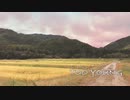 【オリジナル】TOO YOUNG / 初音ミク