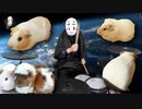 PUI PUI モルカーをドラムで叩いてみたらモルモットに爆破されたカオナシ　Drums Cover!!