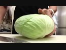 キャベツの千切りの消失